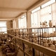 sklep36o_0050.jpg